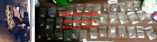 ПСИЛОЦИБИНОВЫЕ ГРИБЫ Приозерск