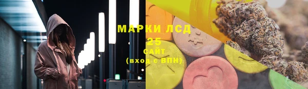 ПСИЛОЦИБИНОВЫЕ ГРИБЫ Приозерск