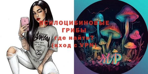 ПСИЛОЦИБИНОВЫЕ ГРИБЫ Приозерск