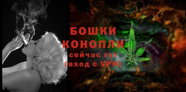 сатива Протвино