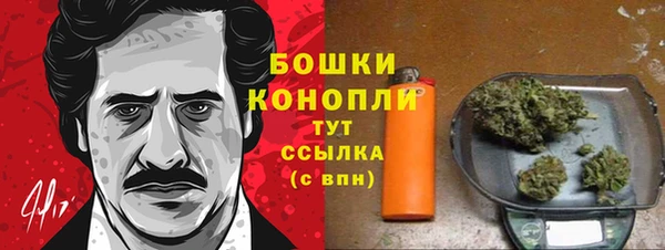 сатива Протвино