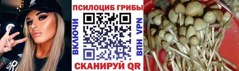 где купить наркотик  Асбест  Псилоцибиновые грибы MAGIC MUSHROOMS 
