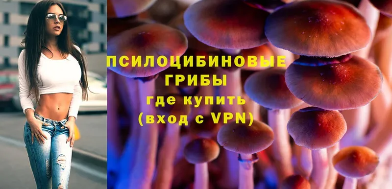 Псилоцибиновые грибы Psilocybe  kraken как войти  Асбест 