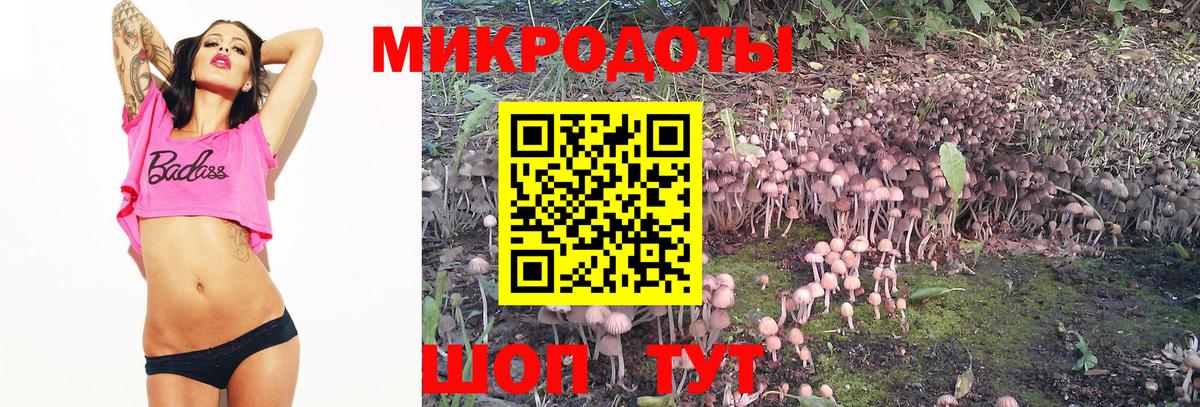 Галлюциногенные грибы Magic Shrooms  где купить наркоту  Асбест 