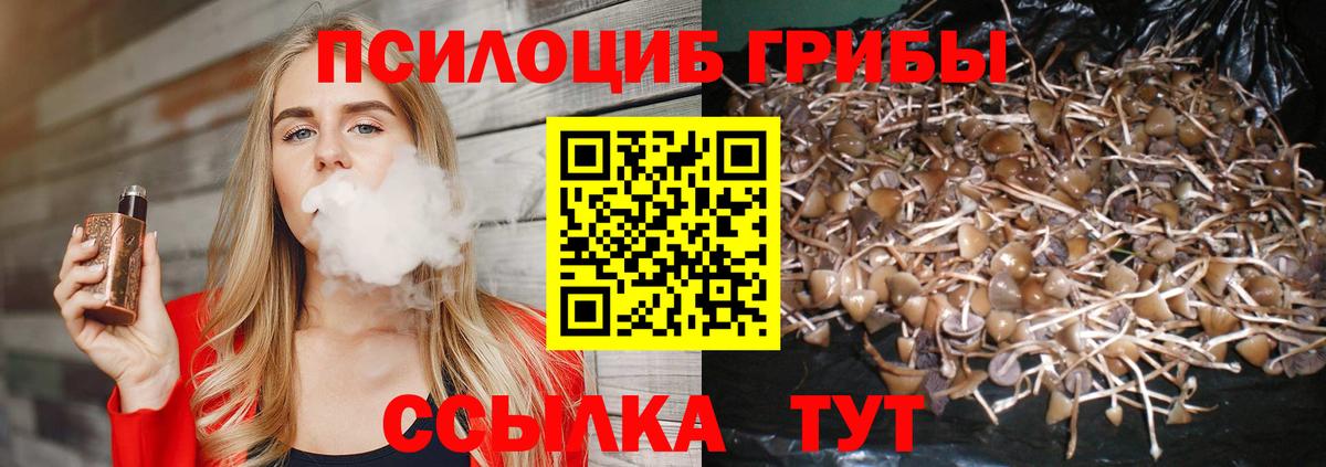 Псилоцибиновые грибы MAGIC MUSHROOMS Асбест